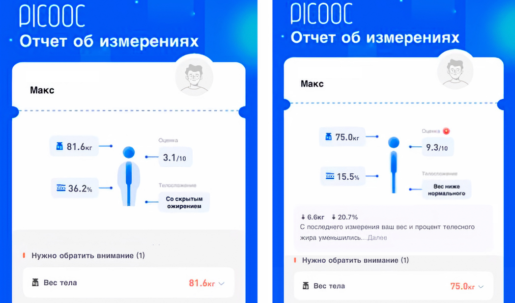 Сводный отчёт весов: снижение веса с 81,6 до 75 килограммов