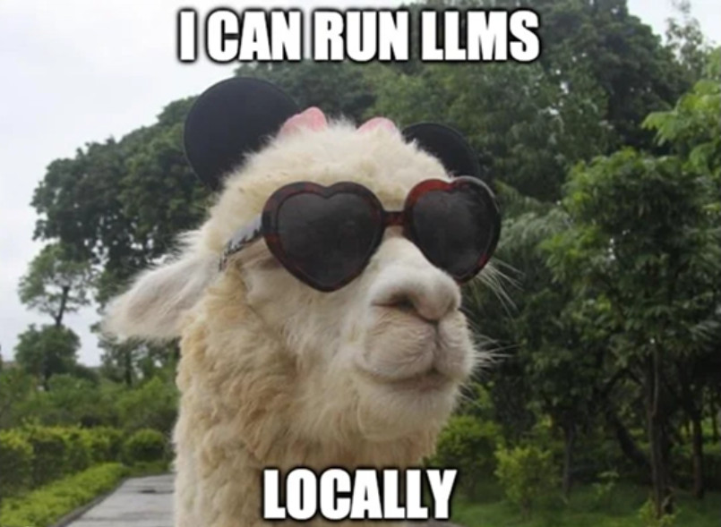 I can run LLMs locally